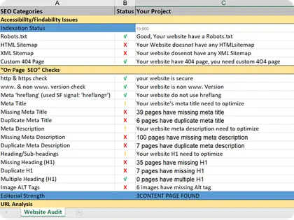 Website audit