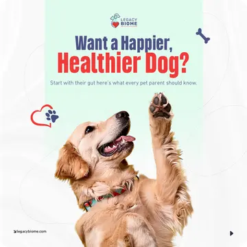 Health post