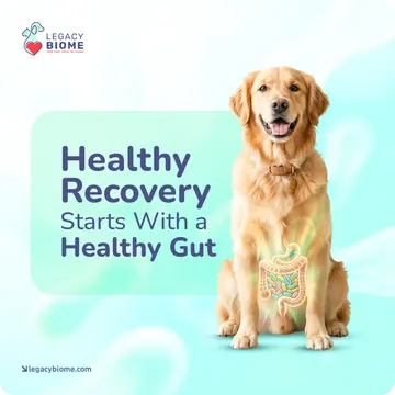 Health post